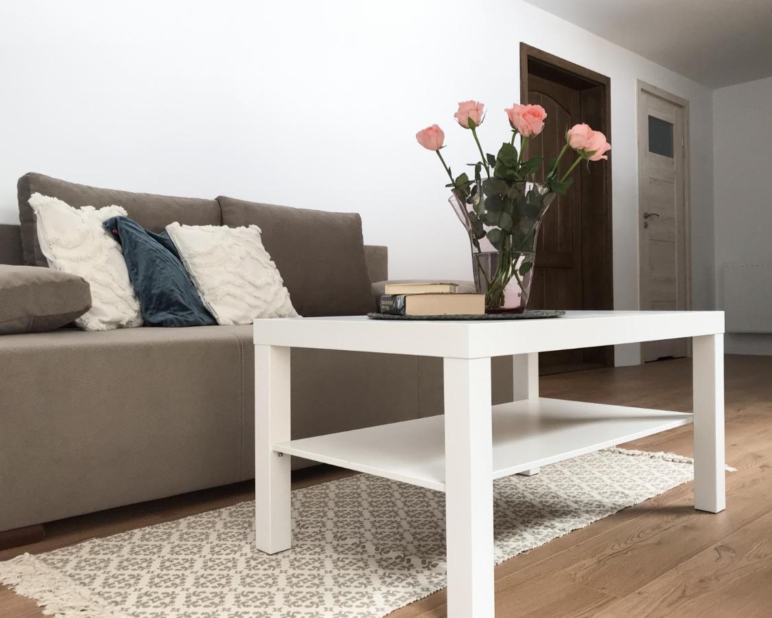 Apartamenty Goszowianka Stronie Śląskie エクステリア 写真