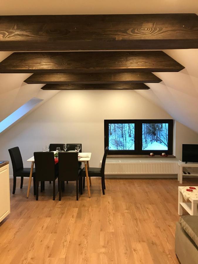 Apartamenty Goszowianka Stronie Śląskie エクステリア 写真