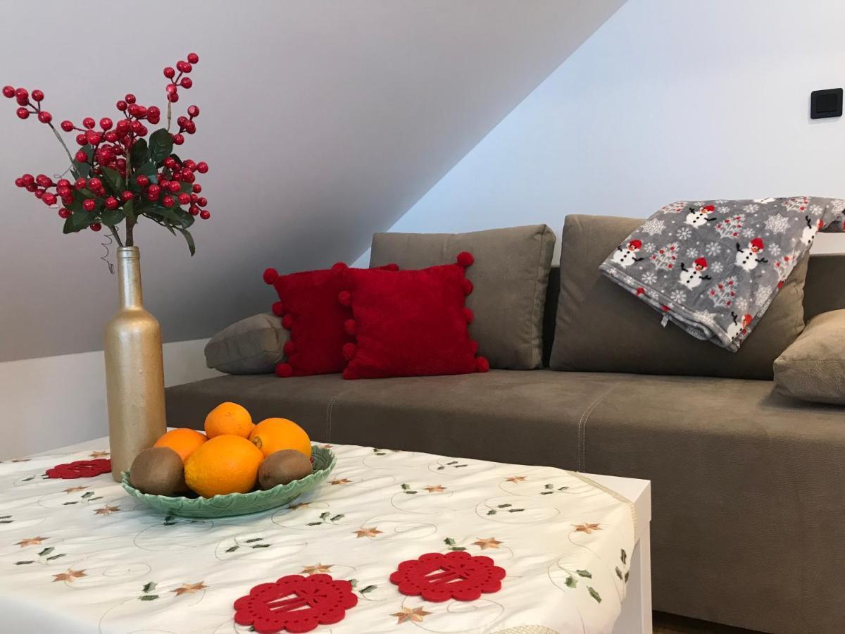 Apartamenty Goszowianka Stronie Śląskie エクステリア 写真
