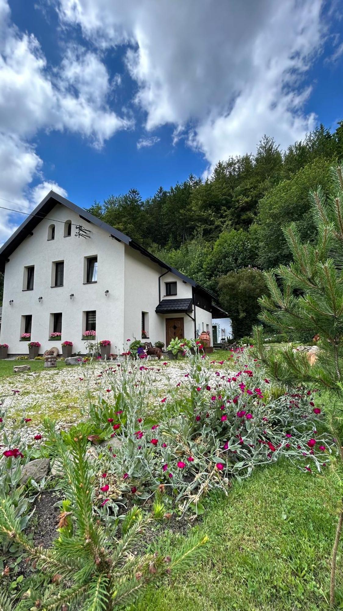 Apartamenty Goszowianka Stronie Śląskie エクステリア 写真