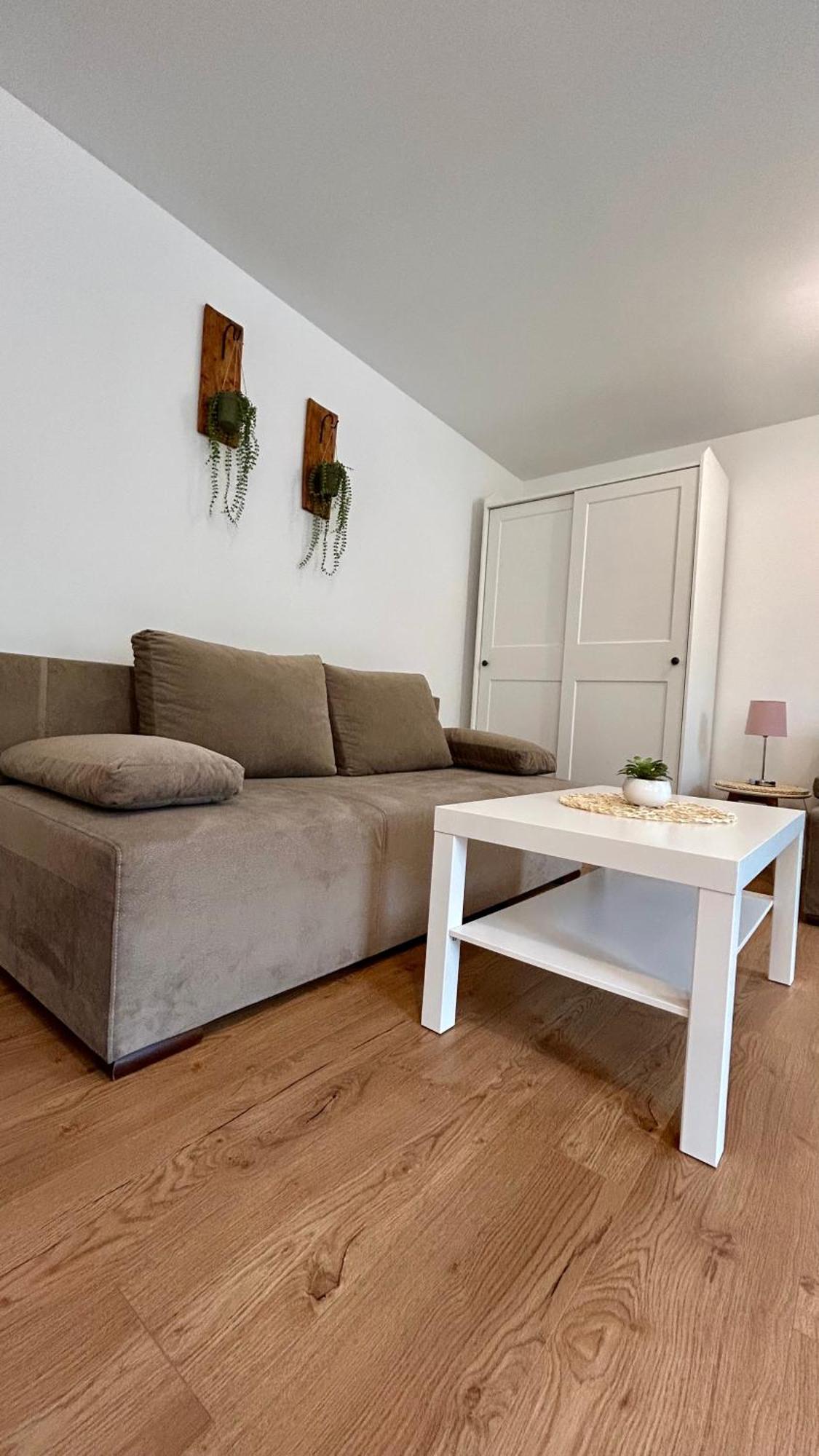 Apartamenty Goszowianka Stronie Śląskie エクステリア 写真