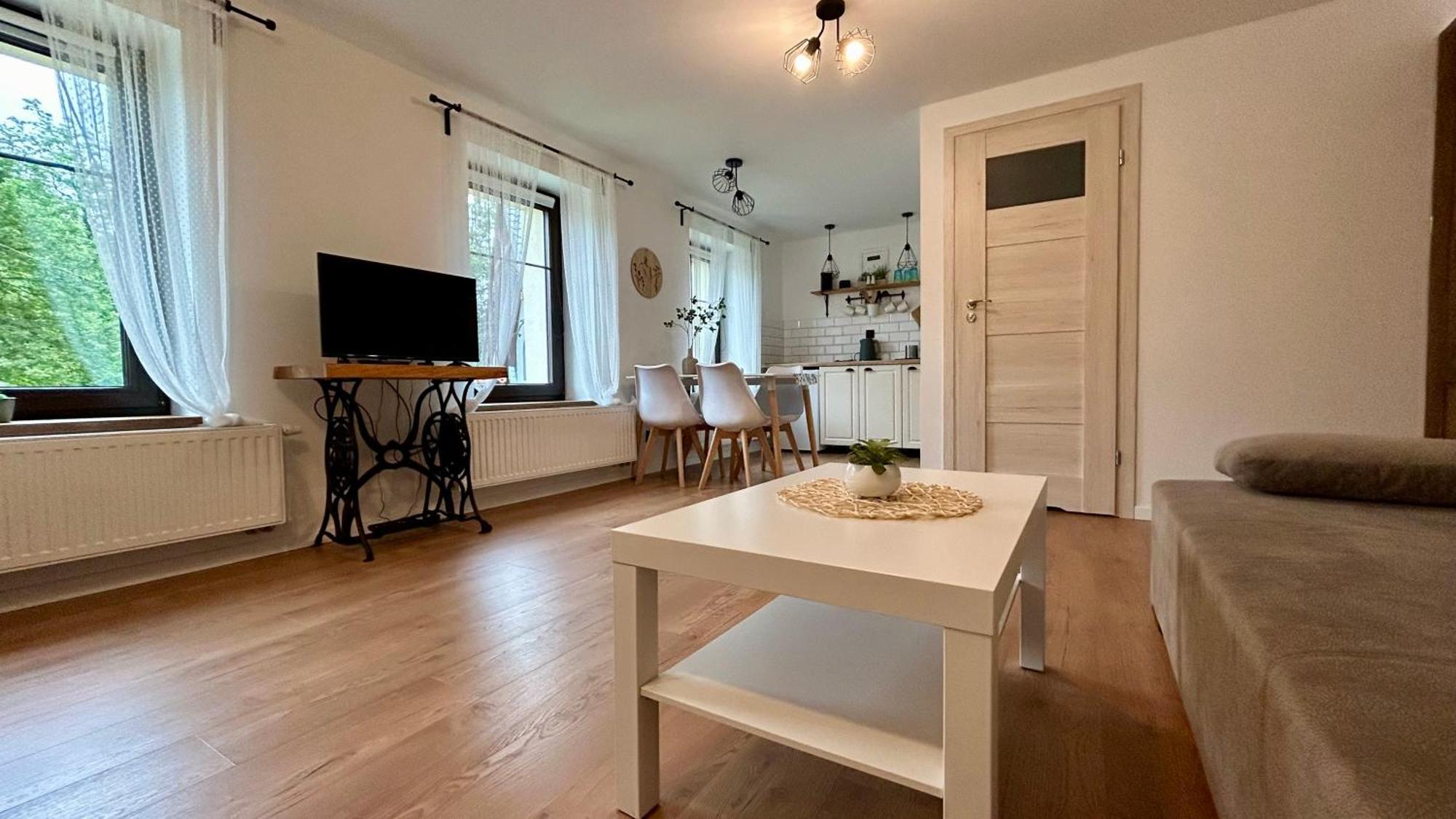 Apartamenty Goszowianka Stronie Śląskie エクステリア 写真