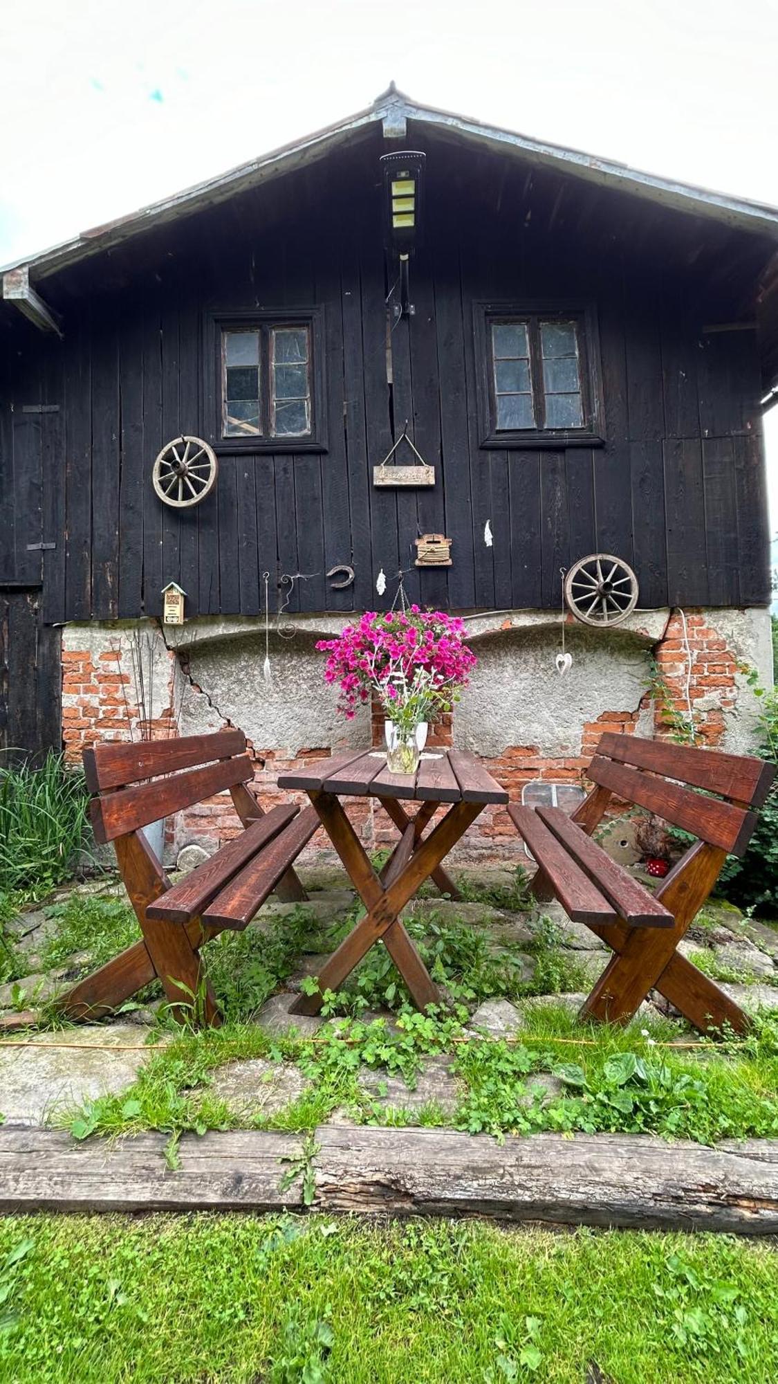 Apartamenty Goszowianka Stronie Śląskie エクステリア 写真