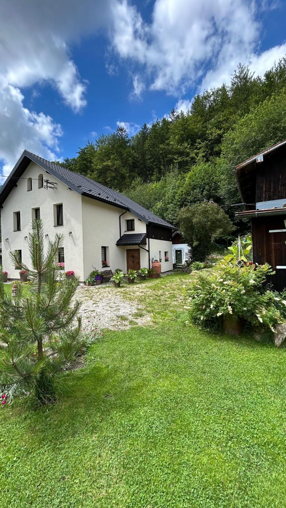 Apartamenty Goszowianka Stronie Śląskie エクステリア 写真