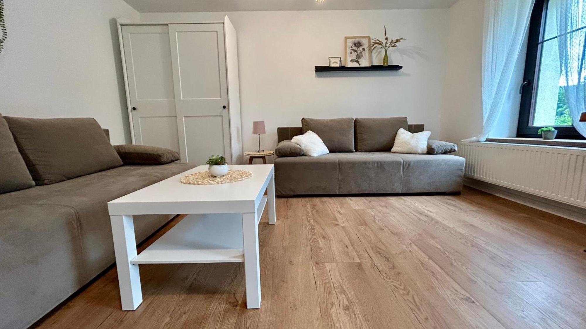 Apartamenty Goszowianka Stronie Śląskie エクステリア 写真