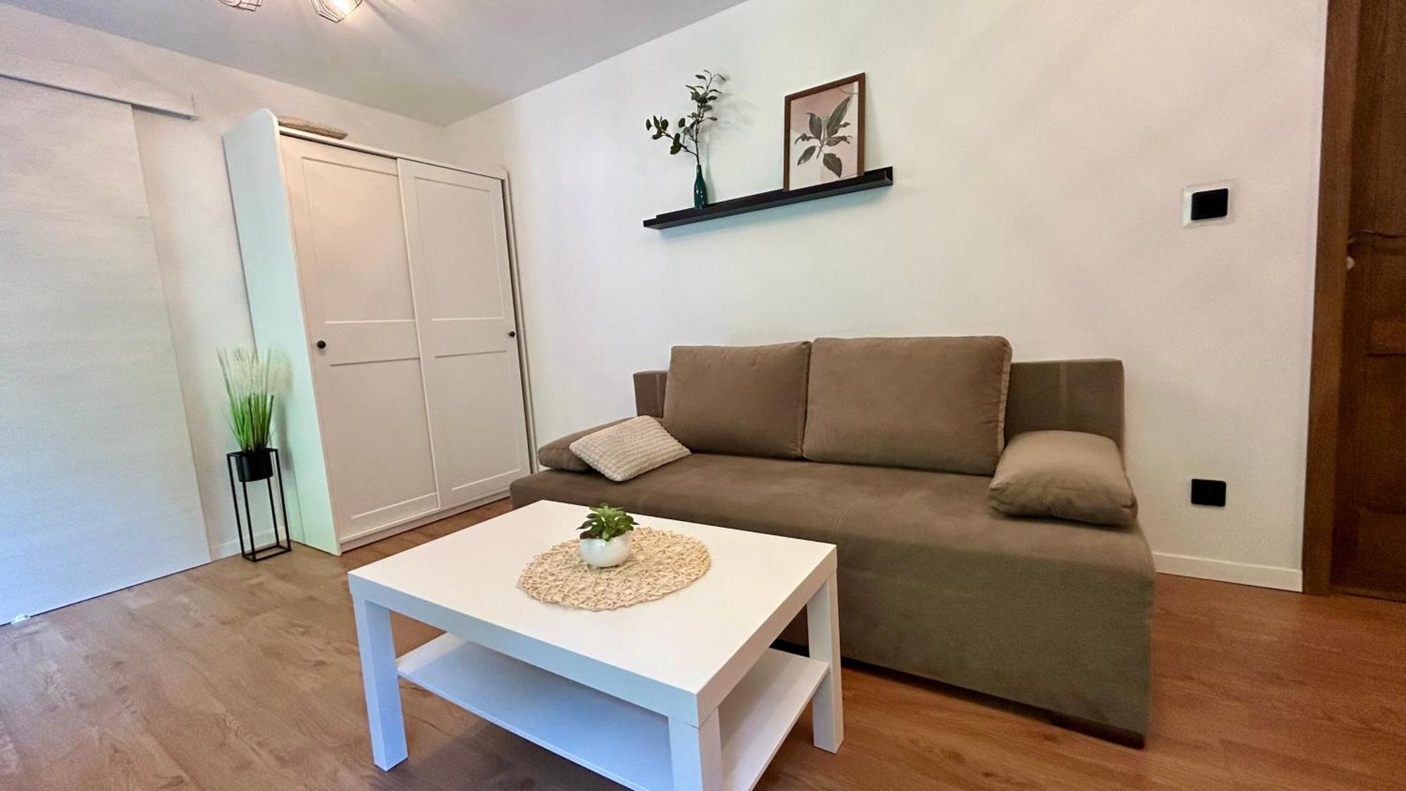 Apartamenty Goszowianka Stronie Śląskie エクステリア 写真