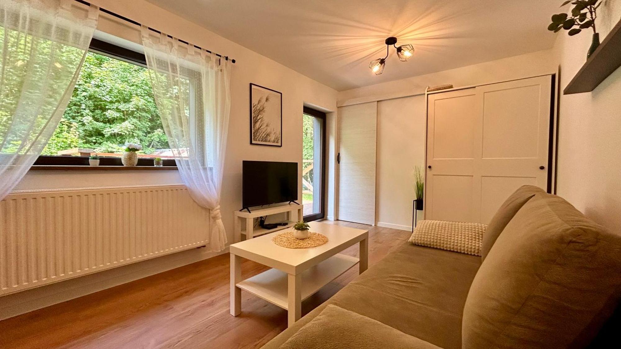 Apartamenty Goszowianka Stronie Śląskie エクステリア 写真