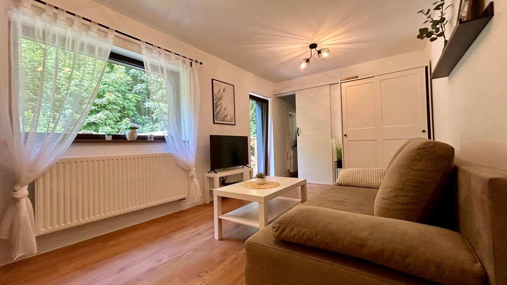 Apartamenty Goszowianka Stronie Śląskie エクステリア 写真